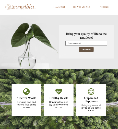 product landing page